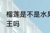 榴莲是不是水果之王啊 榴莲是水果之王吗