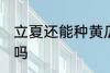 立夏还能种黄瓜吗 立夏还可以种黄瓜吗