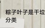粽子叶子是干垃圾吗 粽子叶子的垃圾分类