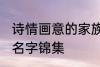 诗情画意的家族名字 诗情画意的家族名字锦集