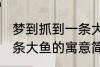 梦到抓到一条大鱼有什么兆头 梦见一条大鱼的寓意简介