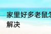 家里好多老鼠怎么办 家里有老鼠怎么解决