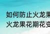 如何防止火龙果花期花变黄 怎样防止火龙果花期花变黄