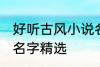 好听古风小说名字大全 好听古风小说名字精选