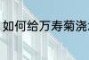 如何给万寿菊浇水 怎样给万寿菊浇水