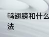 鸭翅膀和什么煲汤好喝 鸭翅膀煲汤做法