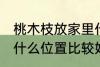 桃木枝放家里什么位置 桃木枝放家里什么位置比较好