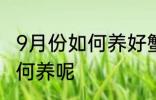 9月份如何养好蟹爪兰 蟹爪兰9月份如何养呢