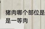 猪肉哪个部位是一等肉 猪肉什么位置是一等肉
