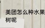 美团怎么种水果树 美团如何种植水果树呢