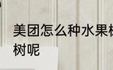 美团怎么种水果树 美团如何种植水果树呢