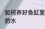 如何养好鱼缸里的水 怎么养好鱼缸里的水
