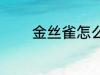 金丝雀怎么养 金丝雀如何养