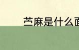 苎麻是什么面料 苎麻的热点