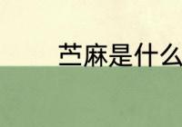 苎麻是什么面料 苎麻的热点