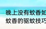 晚上没有蚊香如何快速驱蚊 半夜没有蚊香的驱蚊技巧
