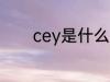 cey是什么原料 cey是啥原料