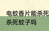 电蚊香片能杀死蚊子吗 电蚊香片可以杀死蚊子吗