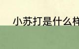 小苏打是什么样的 小苏打的介绍