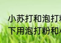 小苏打和泡打粉有什么区别 什么情况下用泡打粉和小苏打