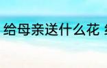 给母亲送什么花 给母亲可以送什么花
