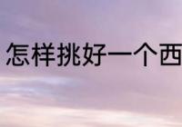 怎样挑好一个西瓜 如何挑好一个西瓜