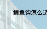 鲤鱼钩怎么选 鲤鱼钩如何选