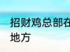 招财鸡总部在哪里 招财鸡总部在哪个地方