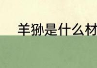 羊狲是什么材质 羊狲是哪种材质