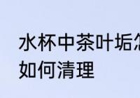 水杯中茶叶垢怎么处理 水杯中茶叶垢如何清理
