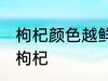 枸杞颜色越鲜艳越好吗 怎么挑选好的枸杞