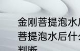 金刚菩提泡水后什么颜色密度高 金刚菩提泡水后什么颜色密度的高低如何判断