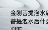 金刚菩提泡水后什么颜色密度高 金刚菩提泡水后什么颜色密度的高低如何判断
