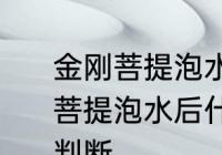 金刚菩提泡水后什么颜色密度高 金刚菩提泡水后什么颜色密度的高低如何判断