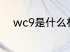 wc9是什么材质 wc9是哪种材质