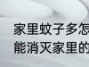 家里蚊子多怎么才能去除干净 如何才能消灭家里的所有蚊子