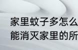 家里蚊子多怎么才能去除干净 如何才能消灭家里的所有蚊子