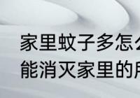 家里蚊子多怎么才能去除干净 如何才能消灭家里的所有蚊子