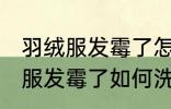 羽绒服发霉了怎么洗掉霉斑白醋 羽绒服发霉了如何洗掉霉斑白醋