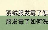 羽绒服发霉了怎么洗掉霉斑白醋 羽绒服发霉了如何洗掉霉斑白醋