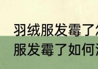 羽绒服发霉了怎么洗掉霉斑白醋 羽绒服发霉了如何洗掉霉斑白醋