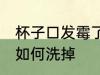 杯子口发霉了怎么洗掉 杯子口发霉了如何洗掉