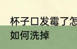 杯子口发霉了怎么洗掉 杯子口发霉了如何洗掉
