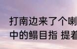 打南边来了个喇嘛手里提着五斤鳎目中的鳎目指 提着五斤鳎目中的鳎目是