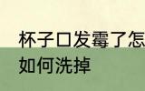 杯子口发霉了怎么洗掉 杯子口发霉了如何洗掉