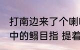 打南边来了个喇嘛手里提着五斤鳎目中的鳎目指 提着五斤鳎目中的鳎目是