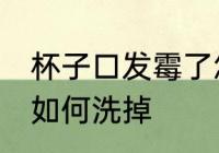 杯子口发霉了怎么洗掉 杯子口发霉了如何洗掉