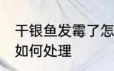 干银鱼发霉了怎么处理 干银鱼发霉了如何处理