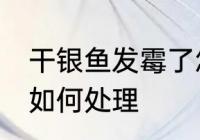 干银鱼发霉了怎么处理 干银鱼发霉了如何处理
