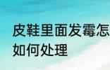 皮鞋里面发霉怎么处理 皮鞋里面发霉如何处理